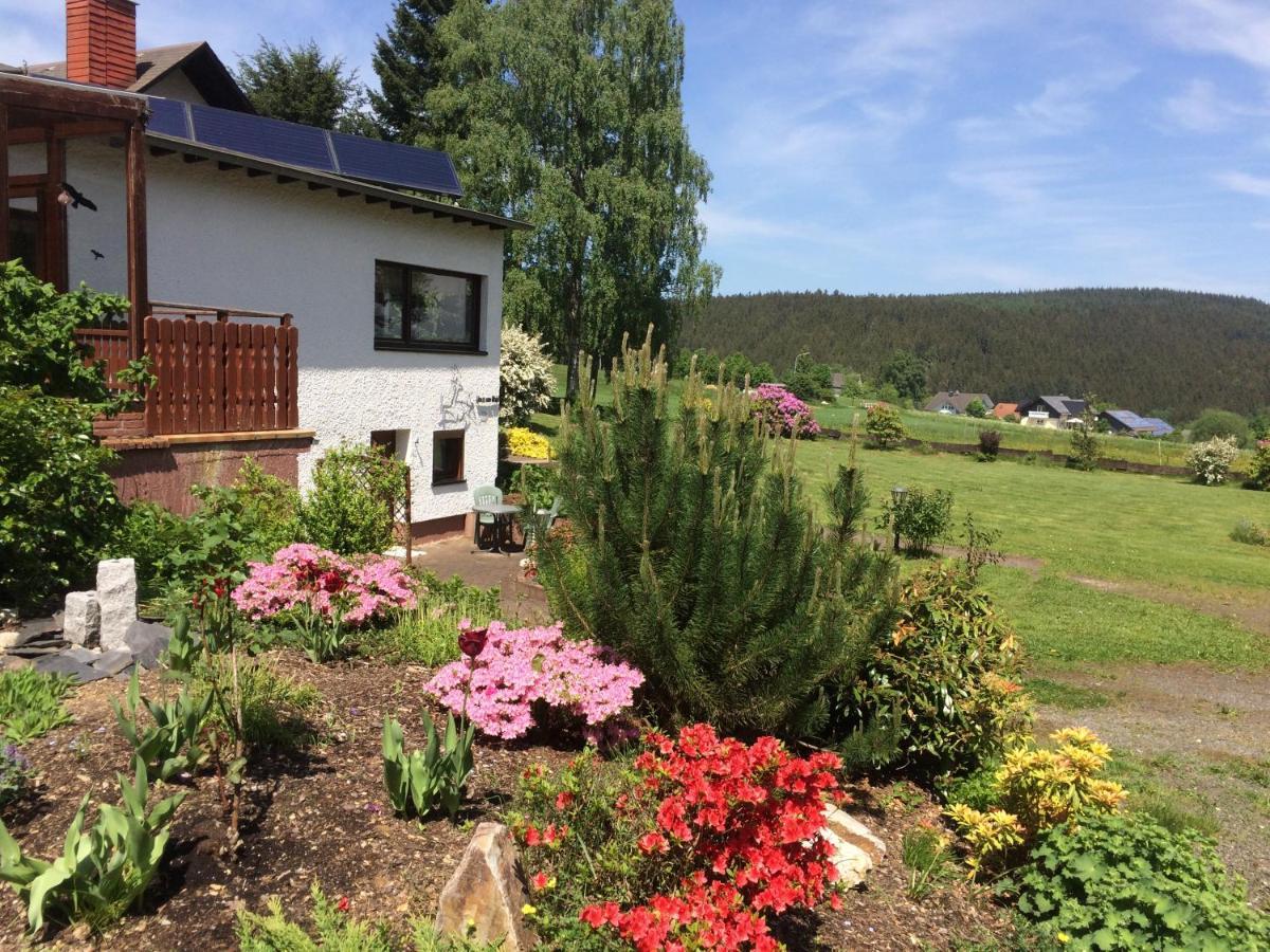 Haus Am Wald - Urlaub Am Nationalpark Apartment Langweiler  Екстериор снимка