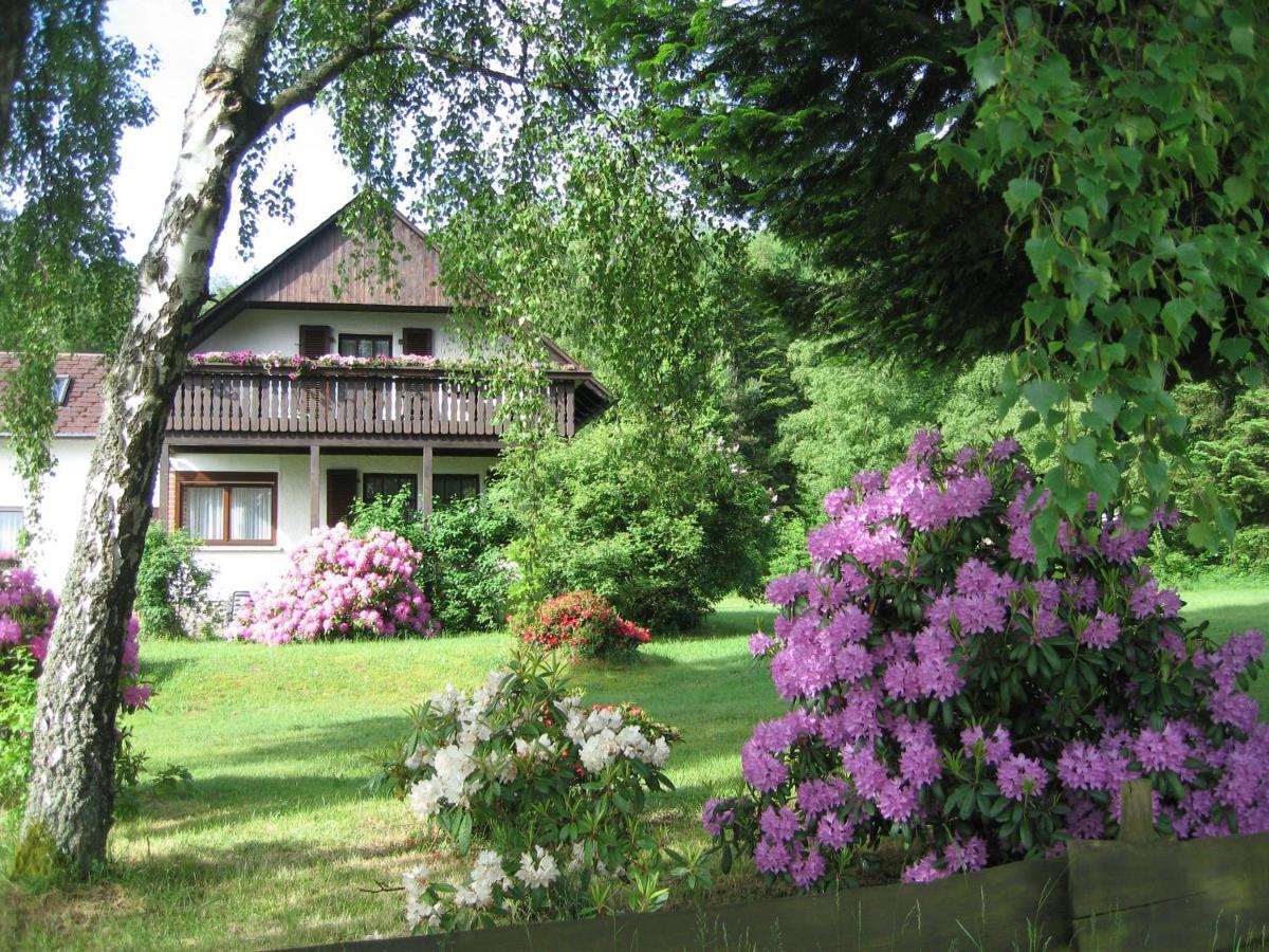 Haus Am Wald - Urlaub Am Nationalpark Apartment Langweiler  Екстериор снимка